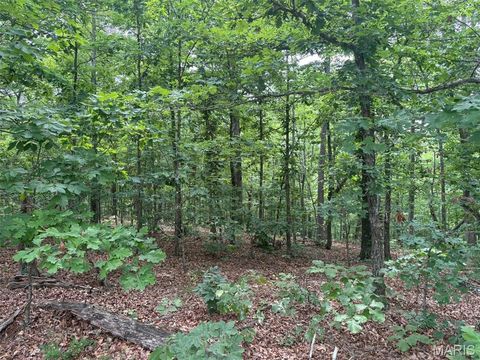 Tiny photo for 0 Highway 21, Ellington, MO 63638 (MLS # 26037812)
