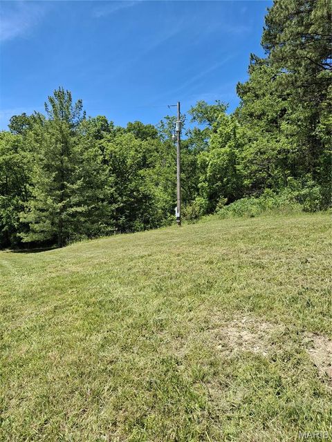 Tiny photo for Bunker, MO 63629 (MLS # 26031077)