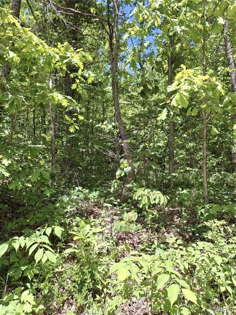 Photo of Bunker, MO 63629 (MLS # 26031077)