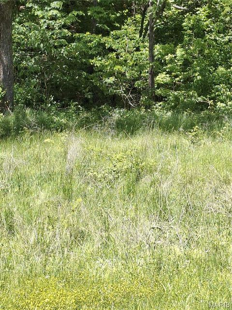 Tiny photo for Bunker, MO 63629 (MLS # 26031077)