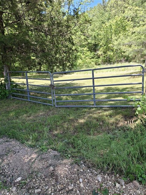 Tiny photo for Bunker, MO 63629 (MLS # 26031077)