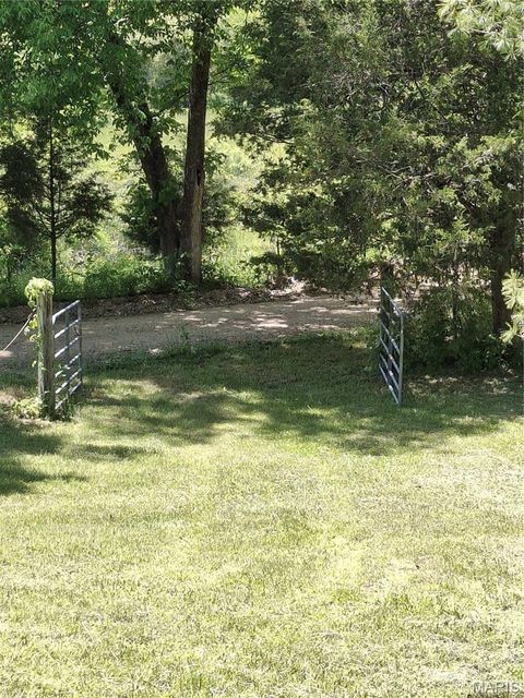 Tiny photo for Bunker, MO 63629 (MLS # 26031077)