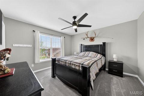 Tiny photo for 321 Red Wing Court, Troy, MO 63379 (MLS # 26029988)