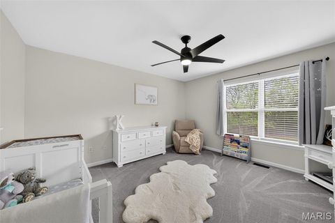 Tiny photo for 321 Red Wing Court, Troy, MO 63379 (MLS # 26029988)
