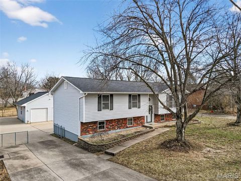 Tiny photo for 804 Meyer Road, Wentzville, MO 63385 (MLS # 26000156)
