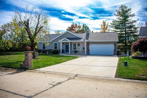 Photo of 178 Christina Marie Drive, OFallon, MO 63368 (MLS # 25073887)