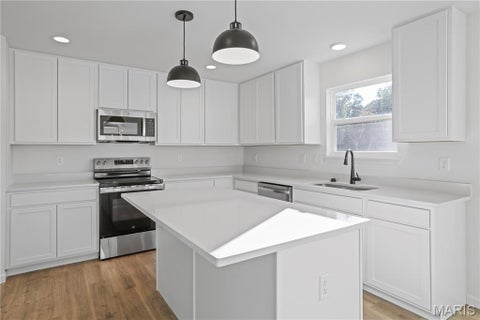 Tiny photo for 24 Shady Elm Court, St Charles, MO 63301 (MLS # 26058482)