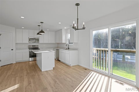 Tiny photo for 24 Shady Elm Court, St Charles, MO 63301 (MLS # 26058482)
