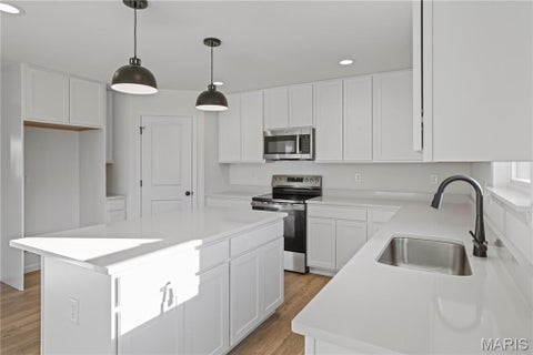 Tiny photo for 24 Shady Elm Court, St Charles, MO 63301 (MLS # 26058482)