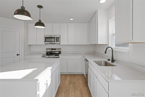 Tiny photo for 24 Shady Elm Court, St Charles, MO 63301 (MLS # 26058482)