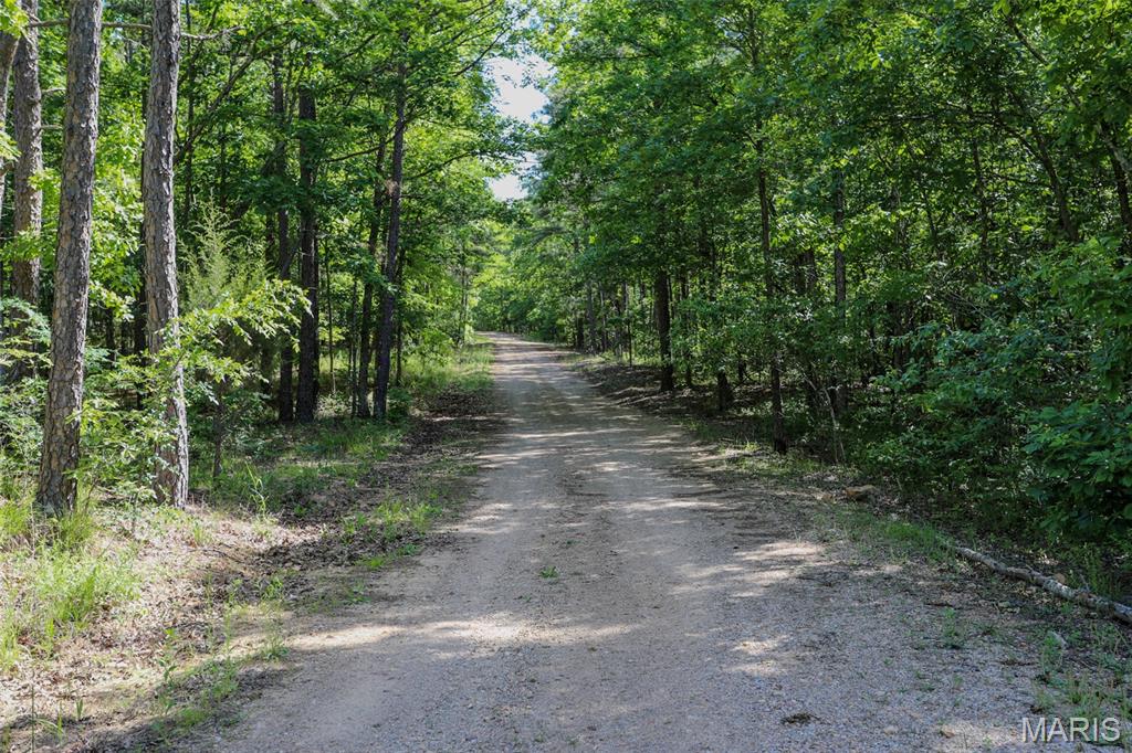 Turkey Creek - Land