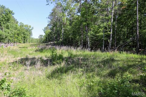 Tiny photo for 1 Gobbler Cove CV, Lowndes, MO 63951 (MLS # 26030213)