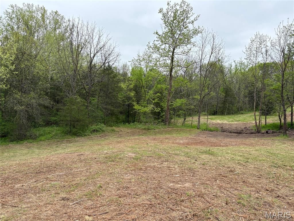 Photo of 2 County Road 810, Linn, MO 65051 (MLS # 26024645)