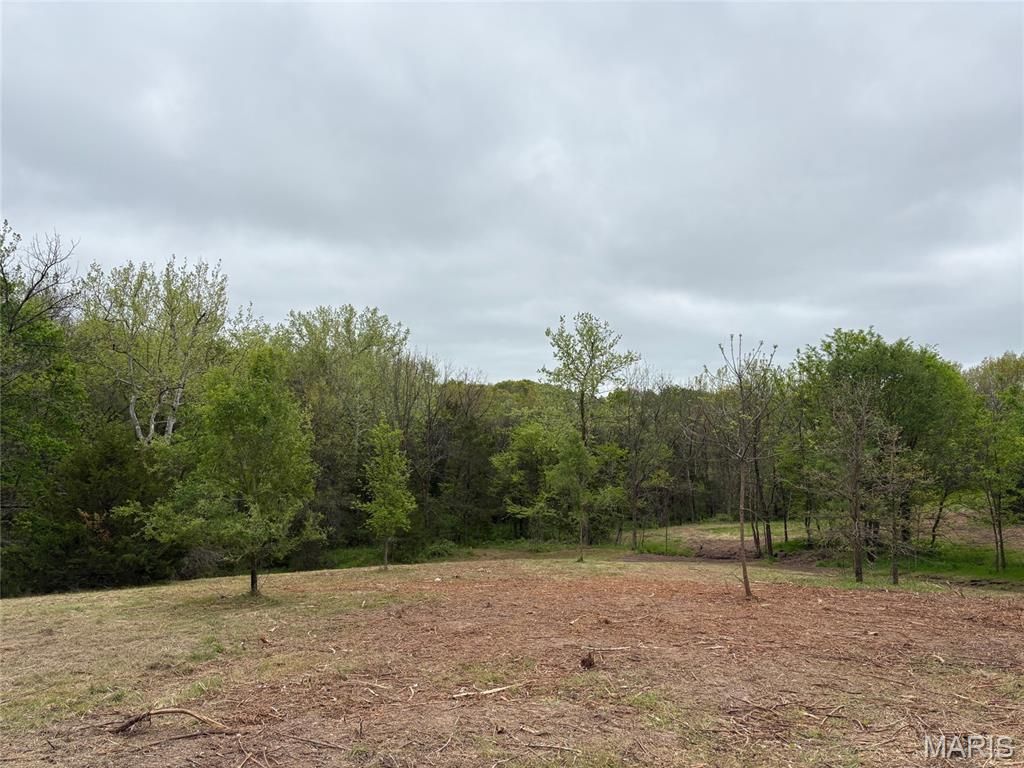 Photo of 2 County Road 810, Linn, MO 65051 (MLS # 26024645)