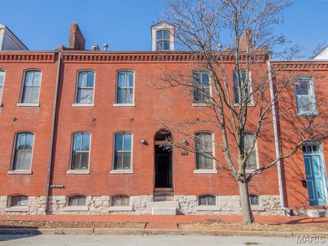 2007 S 11th Street St Louis MO 63104