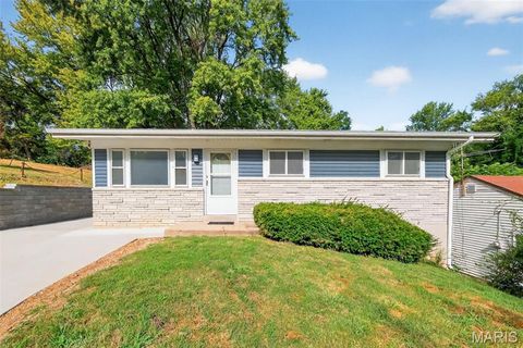 903 Arline Avenue Ferguson MO 63135