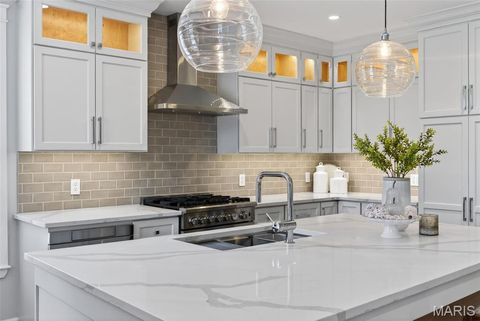 Tiny photo for 727 Marshall Avenue, Webster Groves, MO 63119 (MLS # 25077409)