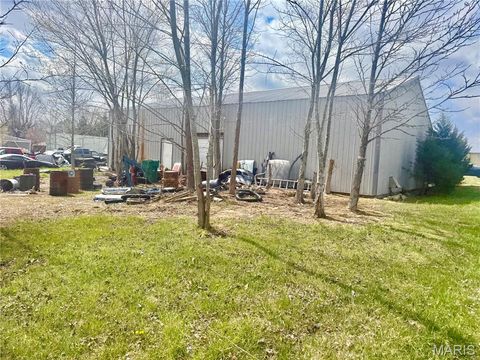 Tiny photo for 1087 madison 333, Fredericktown, MO 63645 (MLS # 26018635)