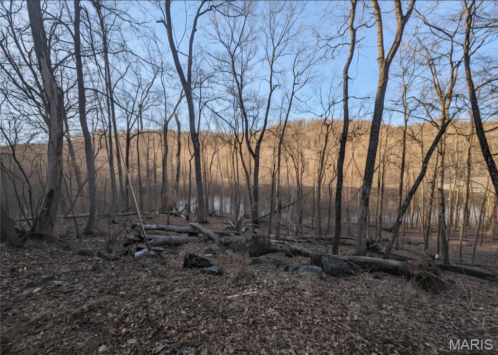 Lake Sherwood Estates - Land