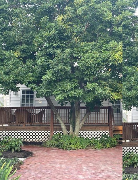 Tiny photo for 729 Chippendale Court, Kirkwood, MO 63122 (MLS # 26052074)