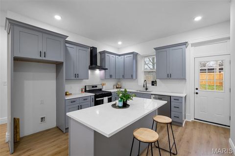 Tiny photo for 6825 Minnesota Avenue, St Louis, MO 63111 (MLS # 26014292)