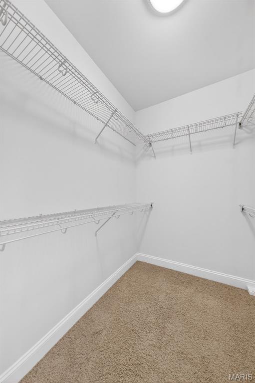 Evergreen Terrace - Residential