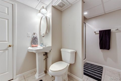 Tiny photo for 420 Woodview Manor Lane, Kirkwood, MO 63122 (MLS # 26041758)