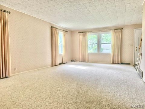 Tiny photo for 414 Park Street, Monroe City, MO 63456 (MLS # 26032680)