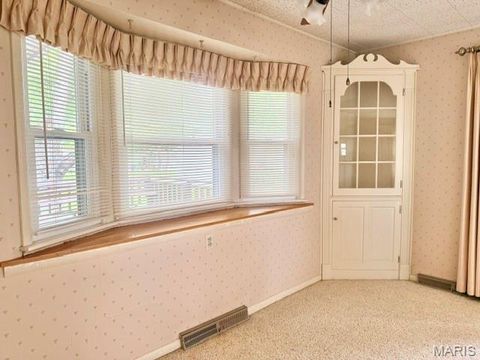 Tiny photo for 414 Park Street, Monroe City, MO 63456 (MLS # 26032680)