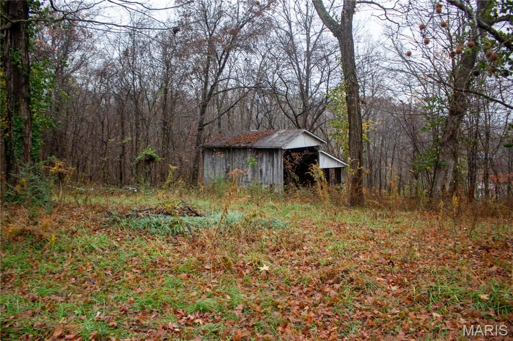 Photo of 101 Orchard Street, Marble Hill, MO 63764 (MLS # 25078351)