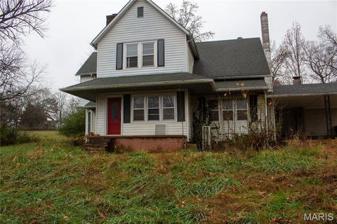 Photo of 101 Orchard Street, Marble Hill, MO 63764 (MLS # 25078351)