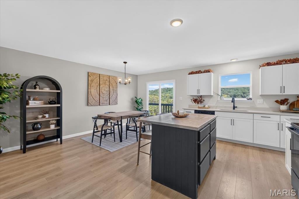 3333 White Pine Drive