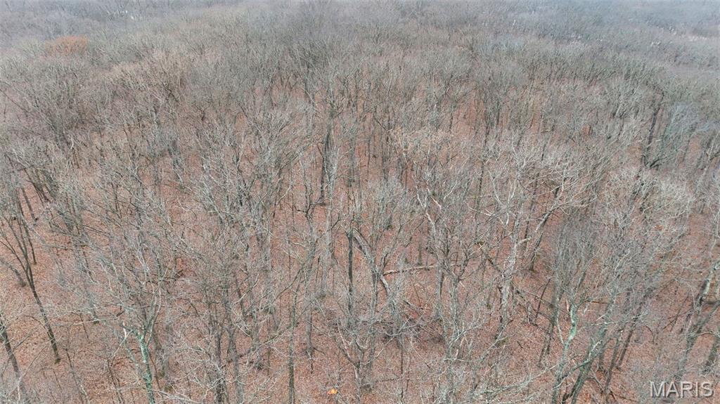 Coleman Farm #1 - Land