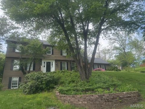 Photo of 1685 Ansonborough Drive, Chesterfield, MO 63017 (MLS # 26023562)