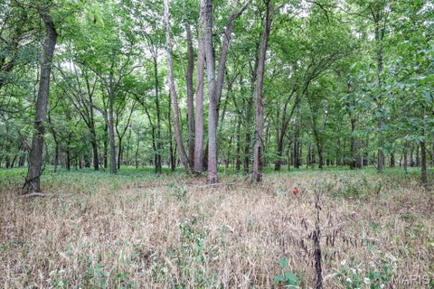 Tiny photo for 000-1 Sunny Side Lane, New London, MO 63459 (MLS # 26062695)