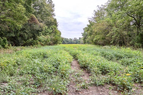 Tiny photo for 000-1 Sunny Side Lane, New London, MO 63459 (MLS # 26062695)