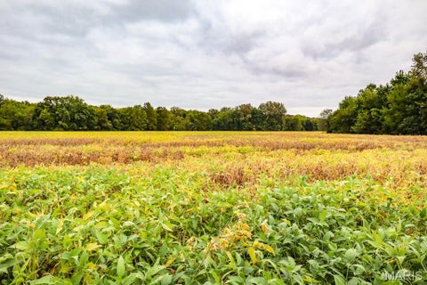 Tiny photo for 000-1 Sunny Side Lane, New London, MO 63459 (MLS # 26062695)