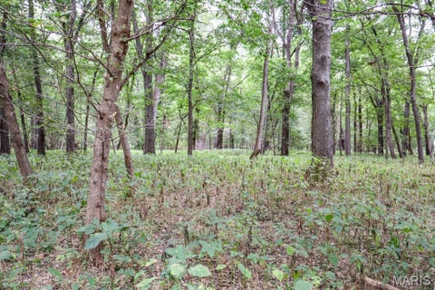 Tiny photo for 000-1 Sunny Side Lane, New London, MO 63459 (MLS # 26062695)