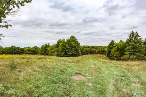 Tiny photo for 000-1 Sunny Side Lane, New London, MO 63459 (MLS # 26062695)