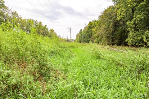 Tiny photo for 000-1 Sunny Side Lane, New London, MO 63459 (MLS # 26062695)