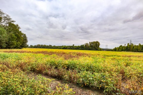 Tiny photo for 000-1 Sunny Side Lane, New London, MO 63459 (MLS # 26062695)