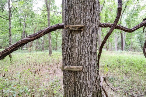Tiny photo for 000-1 Sunny Side Lane, New London, MO 63459 (MLS # 26062695)
