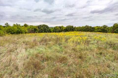 Tiny photo for 000-1 Sunny Side Lane, New London, MO 63459 (MLS # 26062695)