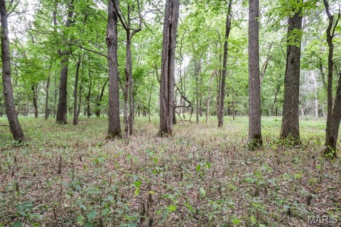 Tiny photo for 000-1 Sunny Side Lane, New London, MO 63459 (MLS # 26062695)
