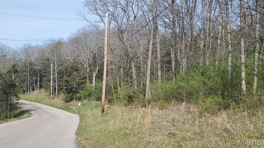 Incredible location for those aspiring to build their dream home on land with inspiring and awesome views of the Ozark Mountains yet very convenient to all the benefits the StL metro offers! This 2.43-acre lot is in the Red Oaks Valley Subdivision which boasts beautiful, custom homes on large lots, making it a very attractive location. Additionally, the availability of utilities and high-speed internet nearby adds convenience and reduces the cost of infrastructure development. The subdivision is equipped with fire hydrants adding an important level of safety for your family and lowering property insurance premiums! The nearby parks offer convenient outdoor recreation opportunities, and the proximity to highways I-55, M, 21, and 141 provide easy access to the City of StL, StL County, and many quaint, historical towns with popular festivals and seasonal events throughout the year! A wide variety of shopping and dining options abound! Try Guiseppe's! Survey and bldg plans available. Additional Rooms: In Platted Subdv.