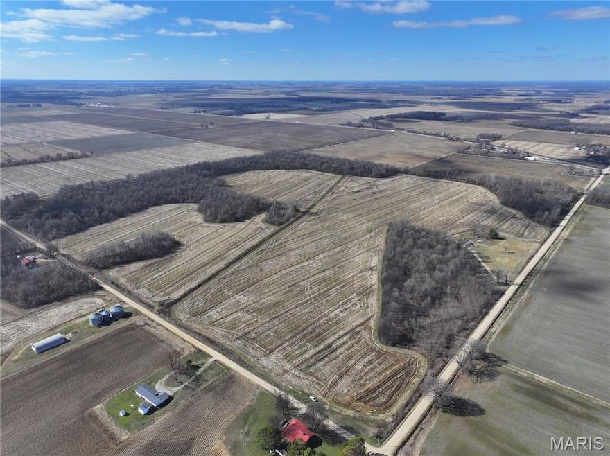 000 County Road 272, Neelyville, Mo 63954

$1,029,900

156 +/- acre productive farm offering a strong mix of income and recreation. The property features approximately 92+/- acres of farm ground and 64 +/- acres of timber. The farm was professionally graded three years ago and is supported by three newer single phase electric wells (installed three years ago). Crowned field roads provide access around each field for efficient operation. The soils and layout are well suited for corn, rice, soybeans, wheat, and milo production. The wooded acreage adds excellent hunting potential, with consistent deer activity and ducks observed on the property.