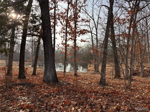 1144 Chester Drive Wright City MO 63390