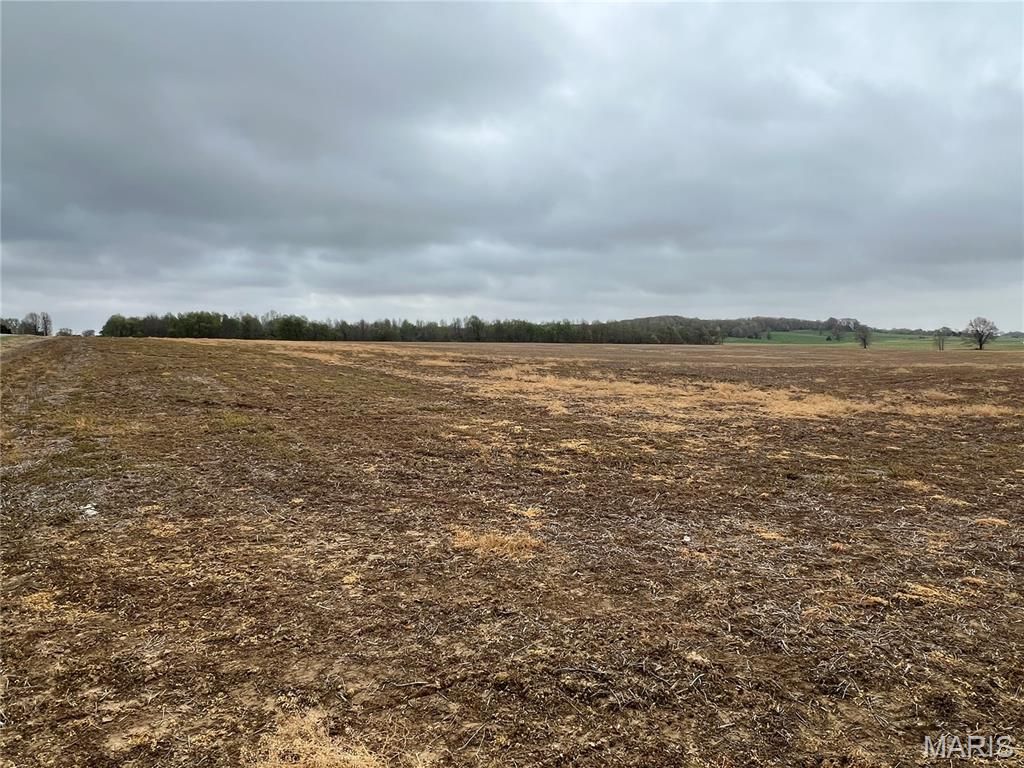 Photo of 0 Highway J, Puxico, MO 63960 (MLS # 26019966)