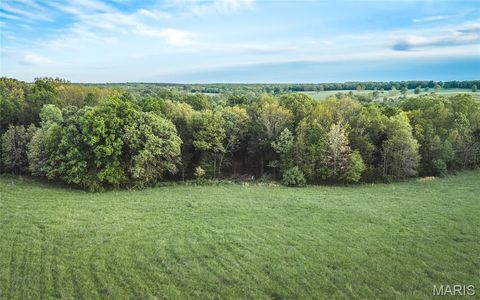 Tiny photo for 45930 Highway 72, Salem, MO 65560 (MLS # 26025855)