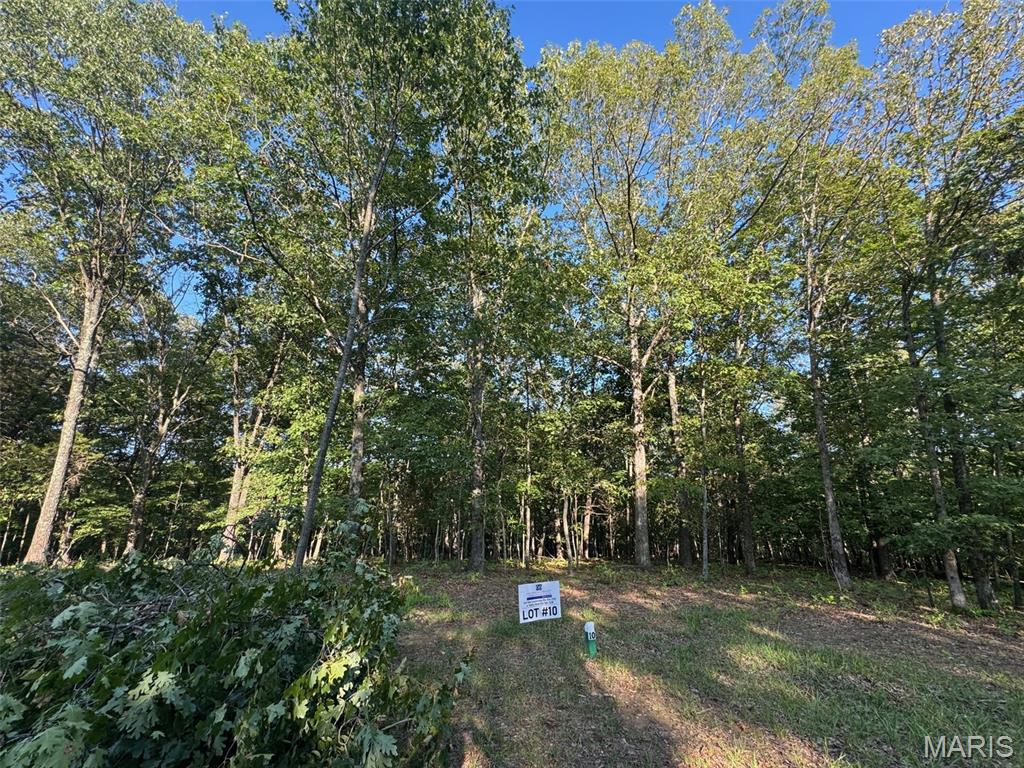 150 Steeple Point Dr. Lot #10 Drive